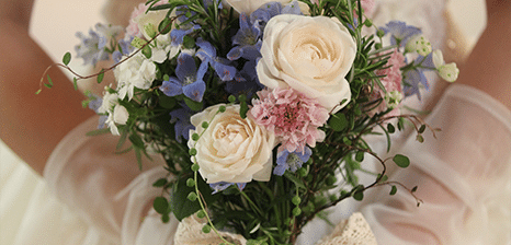 料理のイメージ写真