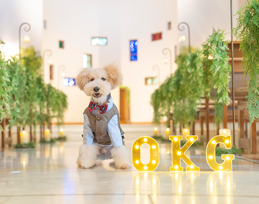 メモリアルフォトのイメージ写真