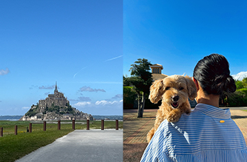 旅行+わんこと一緒