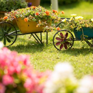 photo_gallery_scene_009