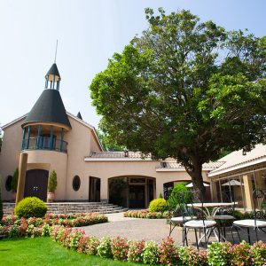 photo_gallery_scene_010