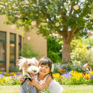 photo_gallery_scene_035