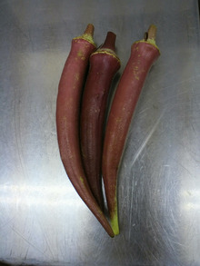 エスポワールレストランのブログ