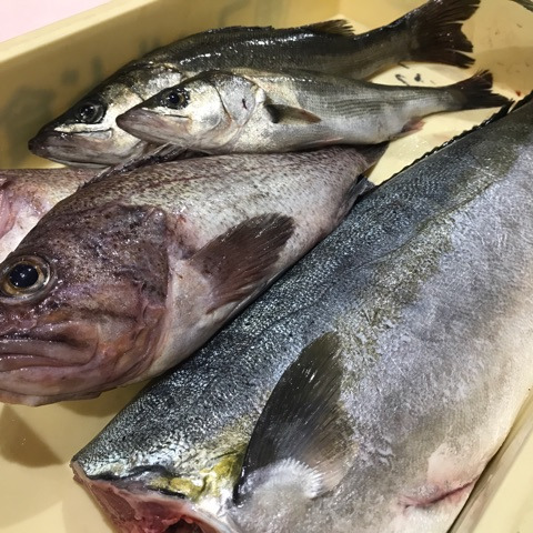 {89DB3808-0015-4675-85B8-C9D1DB2297E7}