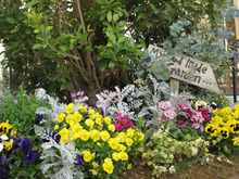 ブライダルスタッフのブログ