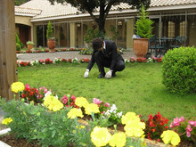 ブライダルスタッフのブログ