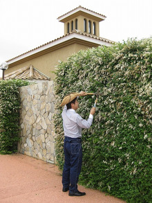 ブライダルスタッフのブログ