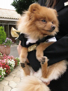 $エスポワールのスタッフブログ