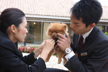 $エスポワールのスタッフブログ