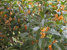 $エスポワールのスタッフブログ