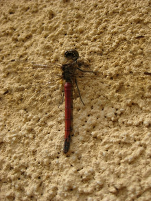 $エスポワールのスタッフブログ