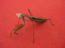 $エスポワールのスタッフブログ