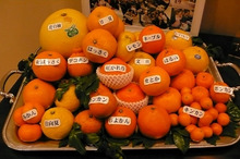 エスポワールのスタッフブログ