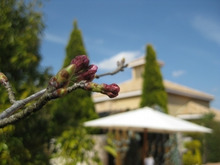 $エスポワールのスタッフブログ