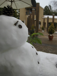 $エスポワールのスタッフブログ