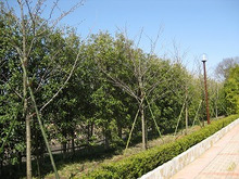 $エスポワールのスタッフブログ