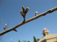 $エスポワールのスタッフブログ