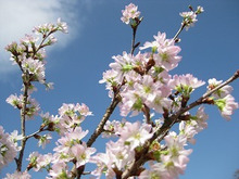 $エスポワールのスタッフブログ