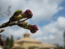 $エスポワールのスタッフブログ