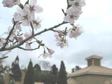 $エスポワールのスタッフブログ