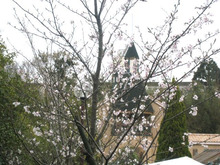 $エスポワールのスタッフブログ