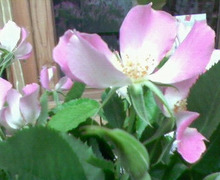 エスポワールのスタッフブログ