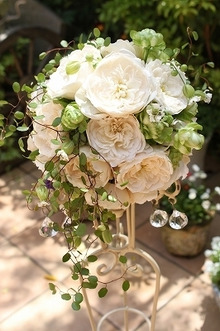 エスポワールのスタッフブログ