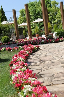 $エスポワールのスタッフブログ