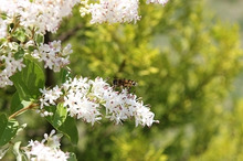 $エスポワールのスタッフブログ