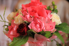 $エスポワールのスタッフブログ