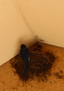 $エスポワールのスタッフブログ