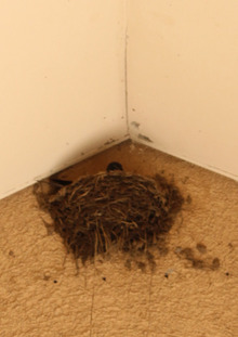 $エスポワールのスタッフブログ