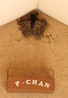 $エスポワールのスタッフブログ