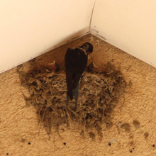 $エスポワールのスタッフブログ