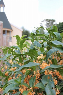 $エスポワールのスタッフブログ