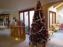 $エスポワールのスタッフブログ