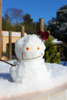 $エスポワールのスタッフブログ