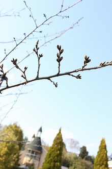 $エスポワールのスタッフブログ