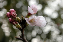 $エスポワールのスタッフブログ