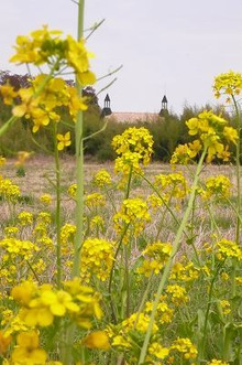 $エスポワールのブログ ～ウェディングスタッフ日記～