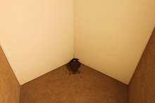 $～ウェディングスタッフ日記～　エスポワール