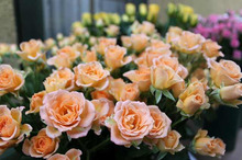 ～ウェディングスタッフ日記～　エスポワール