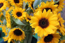 $～ウェディングスタッフ日記～　エスポワール