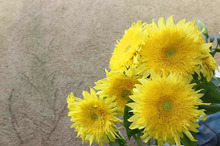 $～ウェディングスタッフ日記～　エスポワール