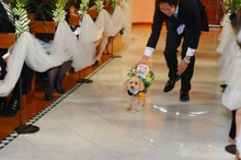 $～ウェディングスタッフ日記～　エスポワール