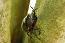 ～ウェディングスタッフ日記～　エスポワール