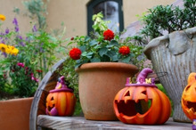 $～ウェディングスタッフ日記～　エスポワール