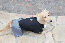 $~ウェディングスタッフ日記~ エスポワール