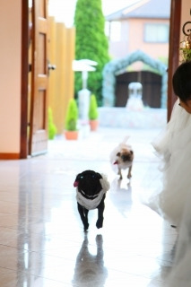 $～ウェディングスタッフ日記～　エスポワール