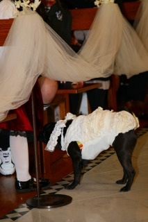 $～ウェディングスタッフ日記～　エスポワール